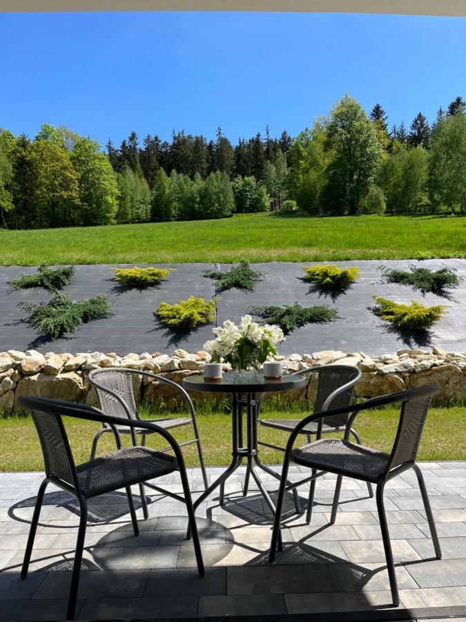 Apartament Na Wzgorzu 1, Sauna, Ebike, Las, Widok - 5D Apartamenty Świeradów-Zdrój المظهر الخارجي الصورة